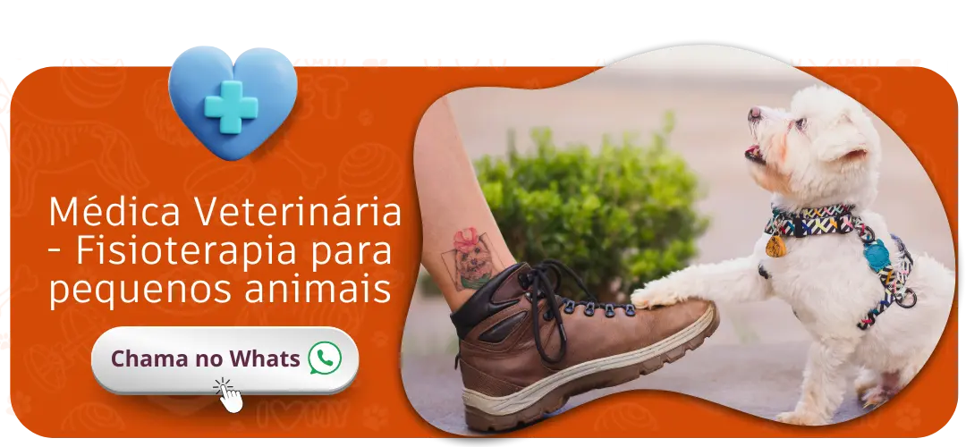 luiza reabilitando focinhos adestrador de caes uberlandia fisioterapia para animais cachorro fisioterapia (2)