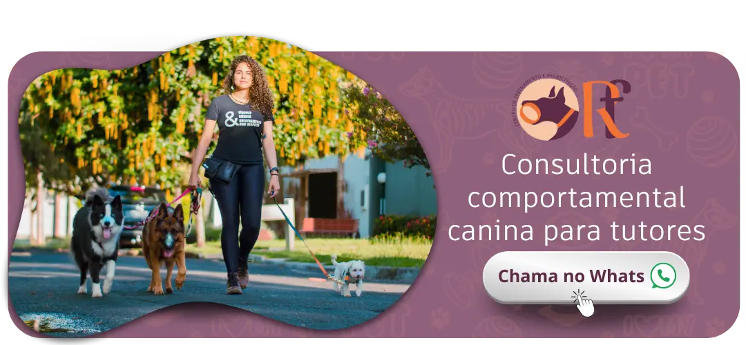 luiza reabilitando focinhos adestrador de caes uberlandia fisioterapia para animais cachorro fisioterapia (3)