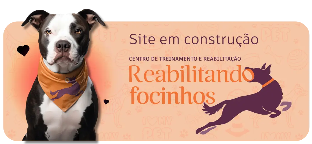 luiza reabilitando focinhos adestrador de caes uberlandia fisioterapia para animais cachorro fisioterapia (6)